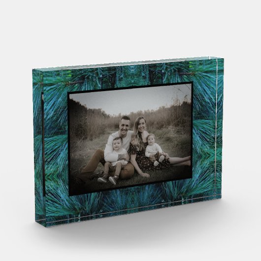 Rustieke dennenbomen dennenbos groen groenblijvend fotoblokken (Links)