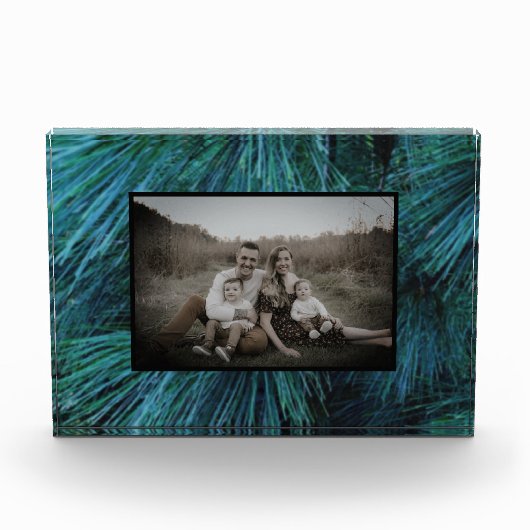 Rustieke dennenbomen dennenbos groen groenblijvend fotoblokken (Voorkant)