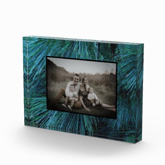 Rustieke dennenbomen dennenbos groen groenblijvend fotoblokken (Rechts)