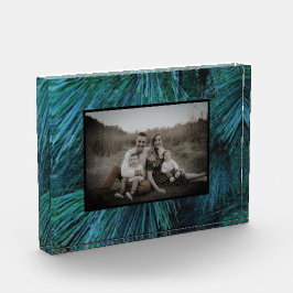 Rustieke dennenbomen dennenbos groen groenblijvend fotoblokken