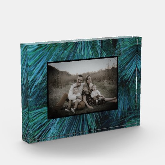 Rustieke dennenbomen dennenbos groen groenblijvend fotoblokken (Links)