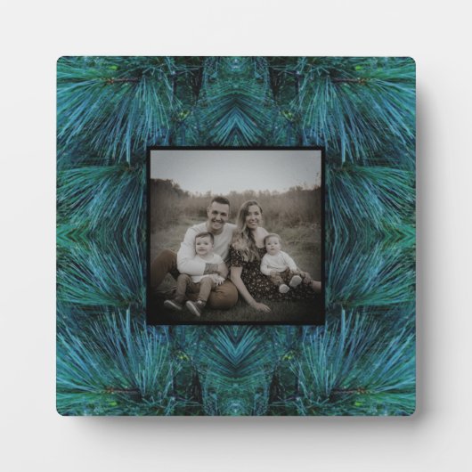 Rustieke dennenbomen dennenbos groen groenblijvend fotoplaat (Voorkant)