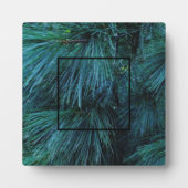 Rustieke dennenbomen dennenbos groen groenblijvend fotoplaat (Voorkant)