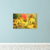 Rustieke Echinacea bloemen Canvas Afdruk (Insitu (Houten vloer))