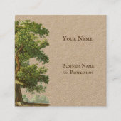 rustieke eikenboom Custom Vierkante Visitekaartje (Voorkant)