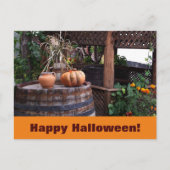 Rustieke foto oranje pompoen briefkaart (Voorkant)