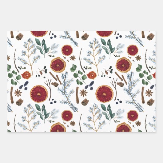 Rustieke gedroogde Botanicals Woody Winter Holiday Inpakpapier Vel (Voorkant)