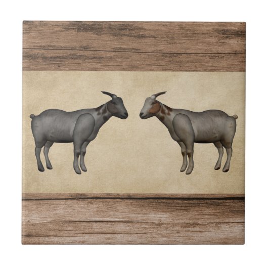 Rustieke geiten en houtnerf keramische Tegel Tegeltje (Voorkant)
