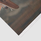  rustieke geklede kat decoupage tissuepapier (Detail)