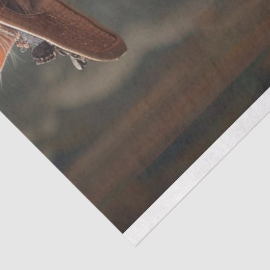  rustieke geklede kat decoupage tissuepapier (Detail)