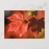 Rustieke Herfst Bladeren Herfst Trouwgast Details Informatiekaartje (Achterkant)