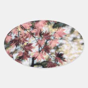 Rustieke herfst esdoorn laat roestig rood roze bru ovale sticker