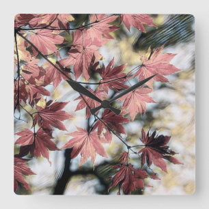 Rustieke herfst esdoorn laat roestig rood roze bru vierkante klok