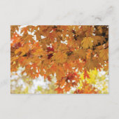 Rustieke Herfst Herfst Tree Lights Bruiloft Routeb Informatiekaartje (Achterkant)