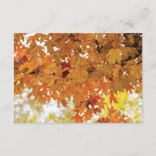 Rustieke Herfst Herfst Tree Lights Bruiloft Routeb Informatiekaartje (Achterkant)