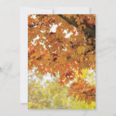Rustieke herfst herfstboom twinkellichten bruiloft kaart (Achterkant)