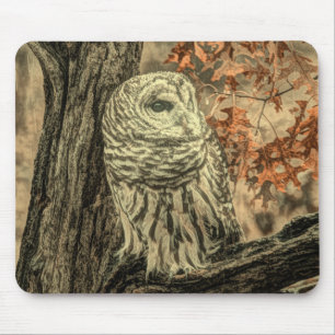 Rustieke herfst laat eikenboom witte uil muismat