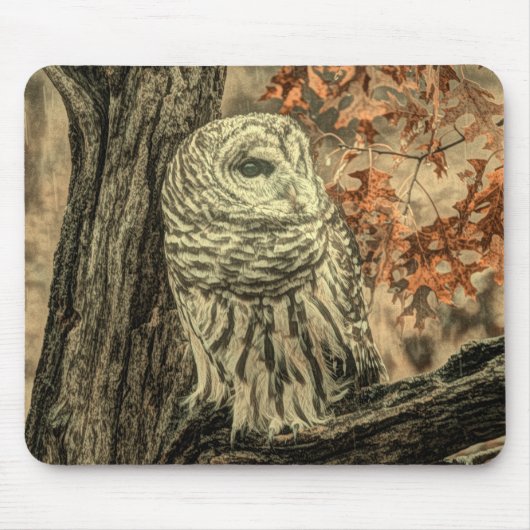 Rustieke herfst laat eikenboom witte uil muismat (Voorkant)