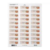 Rustieke Herfst Thema Pompoen Retour Adreslabels Etiket (Full Sheet)