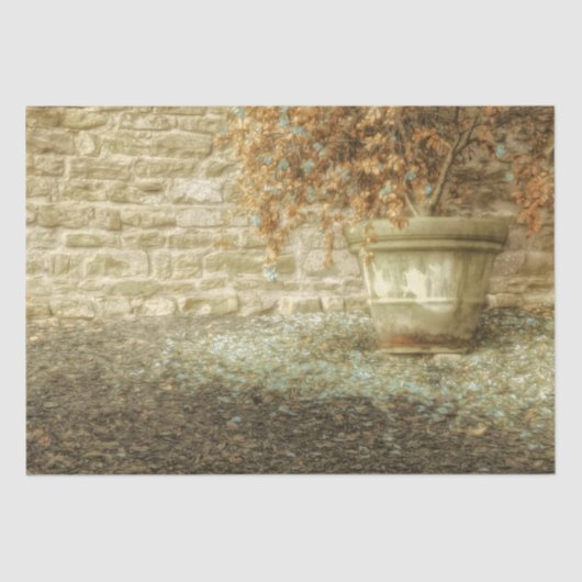 Rustieke herfsttuin tissuepapier (Voorkant)