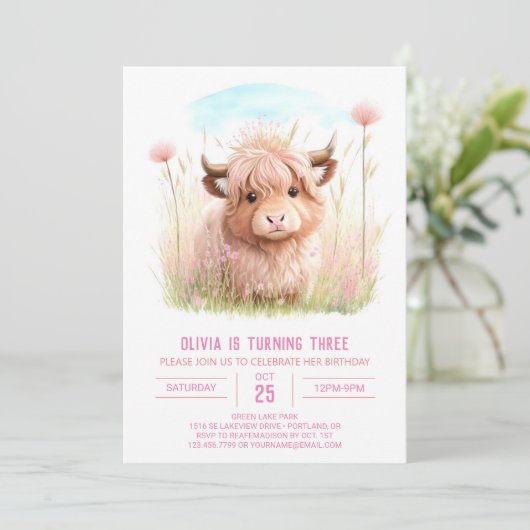 Rustieke Highland Koe Roze Feest Verjaardag Kaart (Staand voorkant)