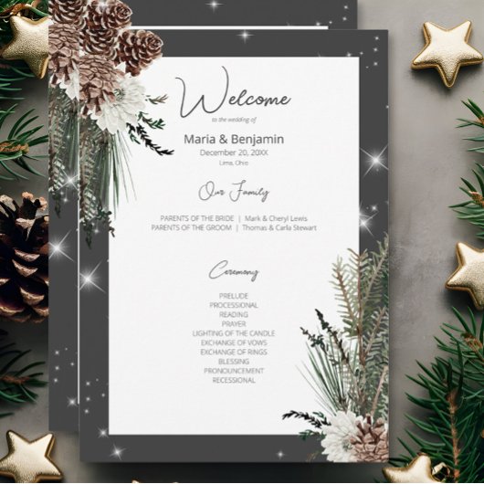 Rustieke Houtskool Zwarte Pijn Winter Sparkle Brui Programmakaart