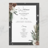 Rustieke Houtskool Zwarte Pijn Winter Sparkle Brui Programmakaart (Voorkant)