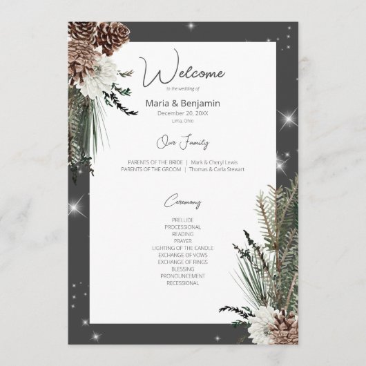 Rustieke Houtskool Zwarte Pijn Winter Sparkle Brui Programmakaart (Voorkant)