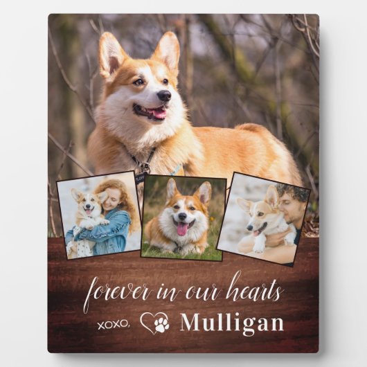 Rustieke huisdierhond-herdenkings-4 foto-collage o fotoplaat (Voorkant)