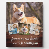 Rustieke huisdierhond-herdenkings collage met 4 fo fotoplaat (Voorkant)