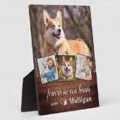 Rustieke huisdierhond-herdenkings collage met 4 fo fotoplaat (Zijkant)