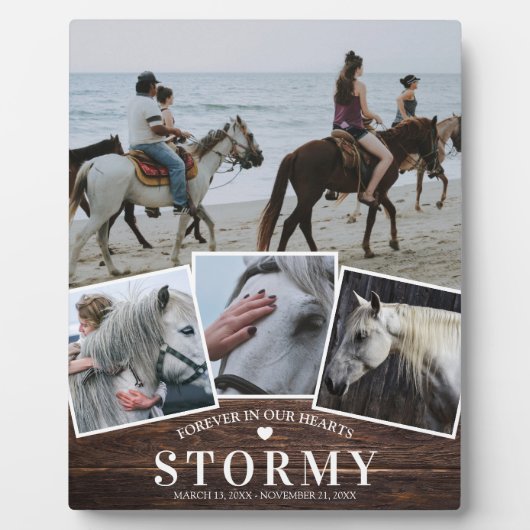 Rustieke huisdierpaard 4 foto collage & naam monum fotoplaat (Voorkant)