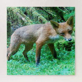 Rustieke Jonge Wilde Vos Bos Sereniteit Natuur Kun Legpuzzel