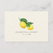 Rustieke kalligrafie Citrus zomer bruiloft Informatiekaartje (Achterkant)