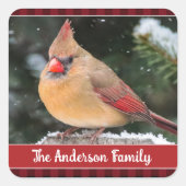 Rustieke Kerst Noordelijke Kardinaal Plaid Natuur Vierkante Sticker (Voorkant)