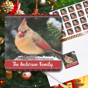 Rustieke Kerst Noordelijke Kardinaal Plaid Natuur Vierkante Sticker