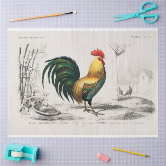 rustieke kip haan decoupage tissuepapier (Craft)