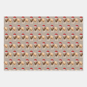 Rustieke Kraft Woodland Forest Safari Dieren Inpakpapier Vel (Voorkant)