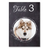 Rustieke Krijtbord Greenery Huwelijk Huisdier Foto Kaart (Achterkant)