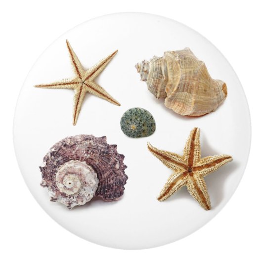 Rustieke kuststrand chique zeeschelp zeesterren keramische knop (Voorkant)
