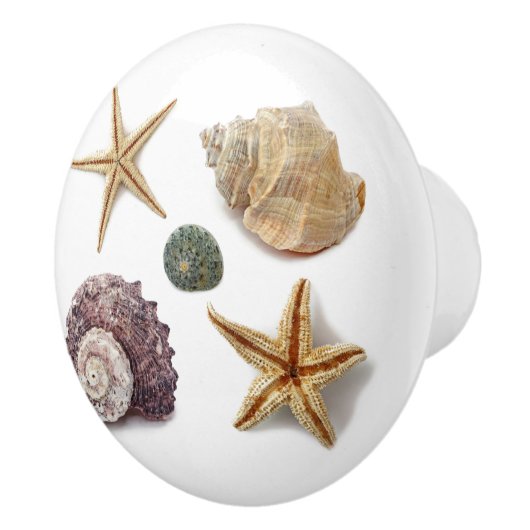 Rustieke kuststrand chique zeeschelp zeesterren keramische knop (Rechts)