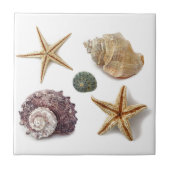 Rustieke kuststrand chique zeeschelp zeesterren tegeltje (Voorkant)