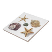 Rustieke kuststrand chique zeeschelp zeesterren tegeltje (Zijkant)