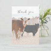 Rustieke land Koeien in het veld Flat Thank You Ca Bedankkaart (Staand voorkant)