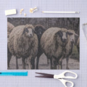 Rustieke landweg ranch boerderij kudde schapen tissuepapier (Craft)