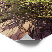 Rustieke  Lantaarn Hangen Buitenshuis in Natuur Poster (Hoek)