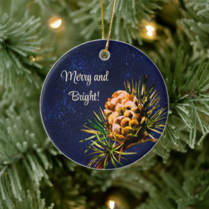 Rustieke Larch kegel Keramisch Ornament