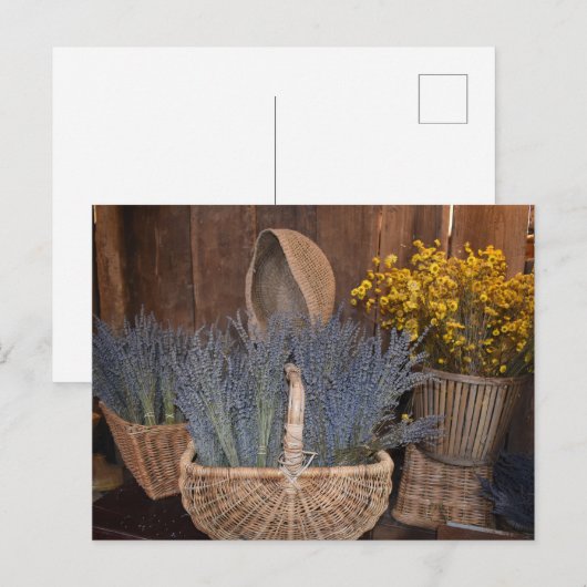 Rustieke Lavendoel Oogst Briefkaart (Voorkant / Achterkant)