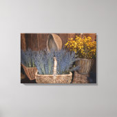 Rustieke Lavendoelst Canvas Afdruk (Voorkant)