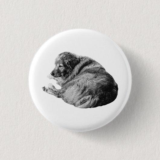 Rustieke Levensgetrouwe Hond Deelt Eenvoudige Vaka Ronde Button 3,2 Cm (Voorkant)